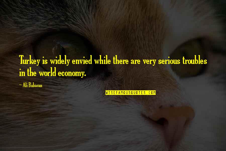 Chitlins Food Quotes By Ali Babacan: Turkey is widely envied while there are very