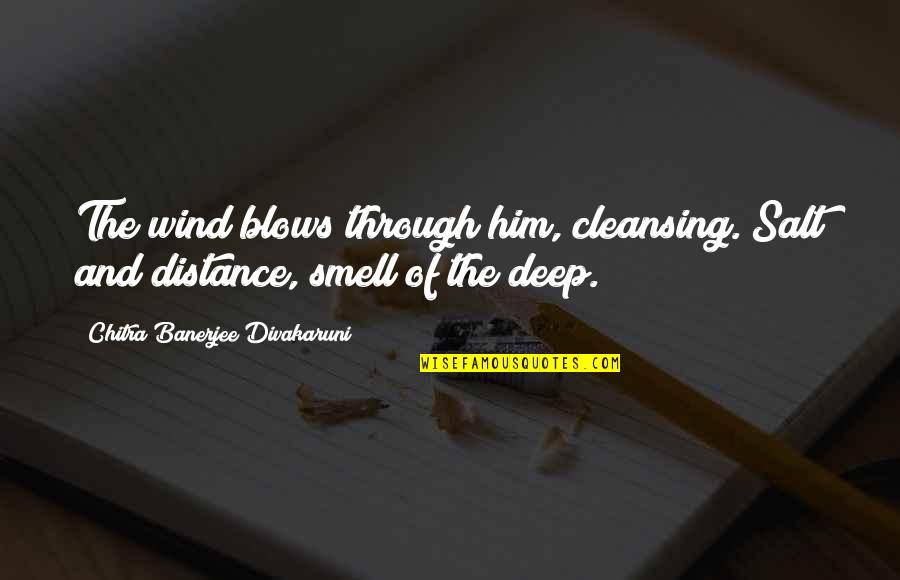 Chitra Banerjee Divakaruni Quotes By Chitra Banerjee Divakaruni: The wind blows through him, cleansing. Salt and