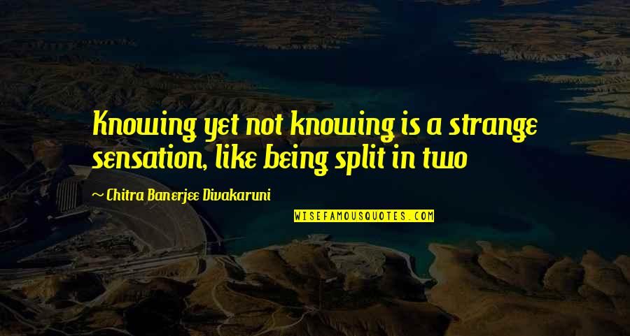 Chitra Banerjee Divakaruni Quotes By Chitra Banerjee Divakaruni: Knowing yet not knowing is a strange sensation,