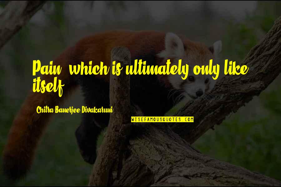 Chitra Banerjee Quotes By Chitra Banerjee Divakaruni: Pain, which is ultimately only like itself. Chitra Banerjee Quotes By Chitra Banerjee Divakaruni: Pain, which is ultimately only like itself.