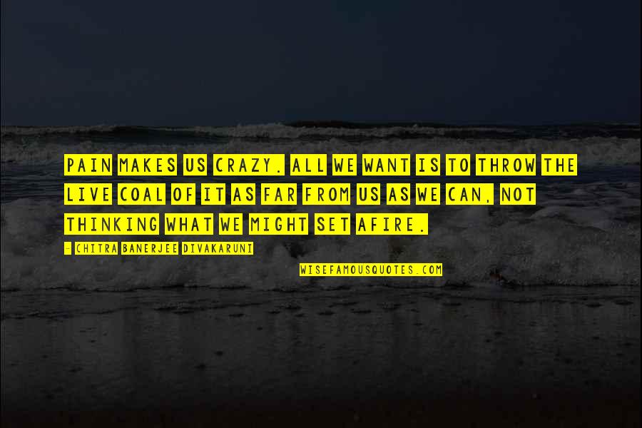 Chitra Quotes By Chitra Banerjee Divakaruni: Pain makes us crazy. All we want is Chitra Quotes By Chitra Banerjee Divakaruni: Pain makes us crazy. All we want is