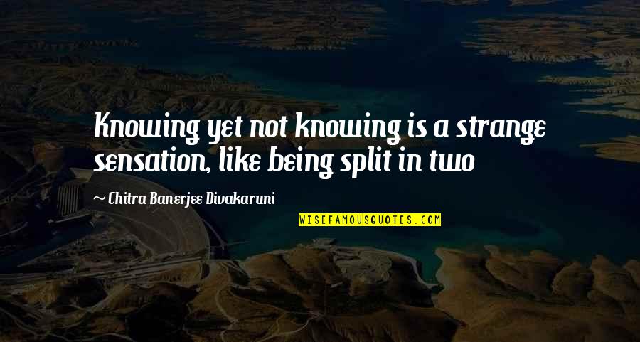 Chitra Quotes By Chitra Banerjee Divakaruni: Knowing yet not knowing is a strange sensation, Chitra Quotes By Chitra Banerjee Divakaruni: Knowing yet not knowing is a strange sensation,