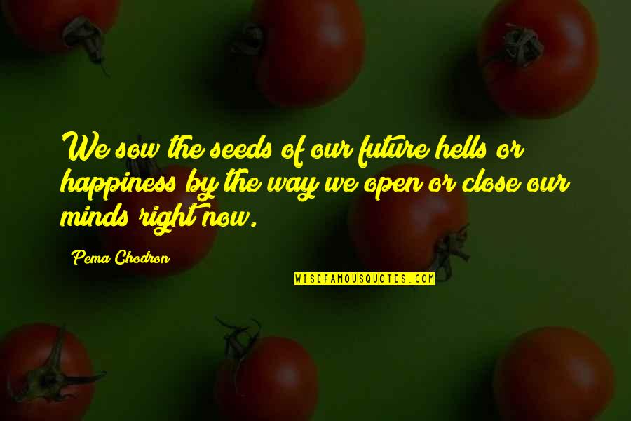 Chittam Oak Quotes By Pema Chodron: We sow the seeds of our future hells Chittam Oak Quotes By Pema Chodron: We sow the seeds of our future hells