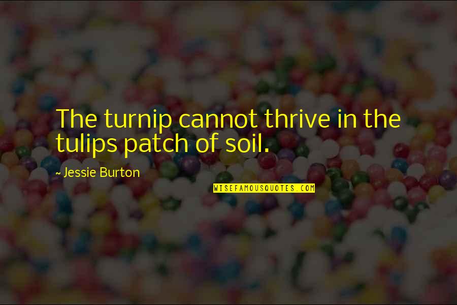 Chittamruthu Quotes By Jessie Burton: The turnip cannot thrive in the tulips patch