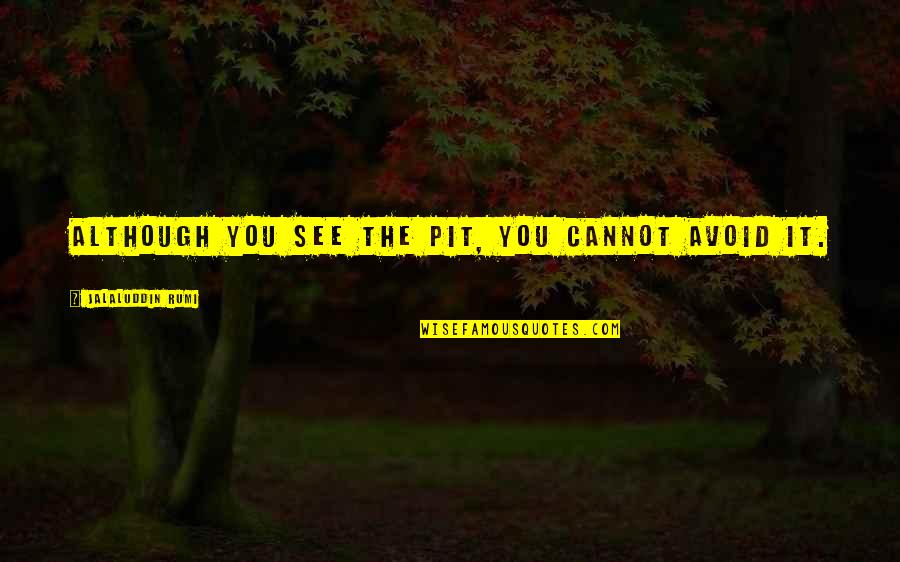 Chivvied Quotes By Jalaluddin Rumi: Although you see the pit, you cannot avoid