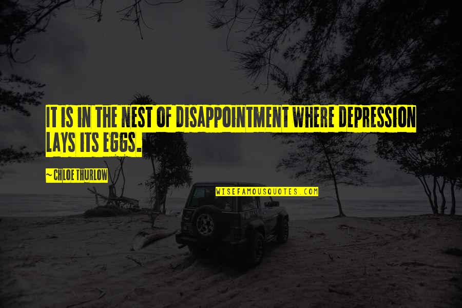 Chloe Thurlow Quotes By Chloe Thurlow: It is in the nest of disappointment where