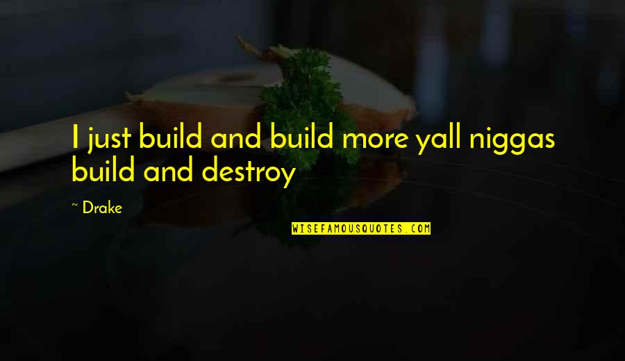 Chloroforming Men Quotes By Drake: I just build and build more yall niggas