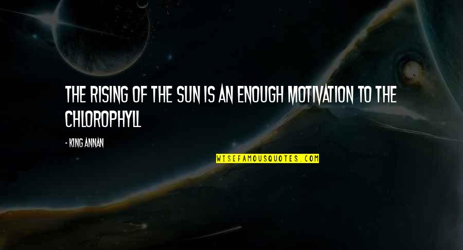 Chlorophyll Quotes By King Annan: The rising of the sun is an enough