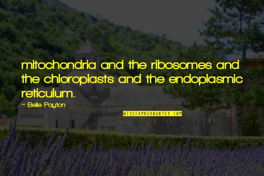 Chloroplasts Quotes By Belle Payton: mitochondria and the ribosomes and the chloroplasts and