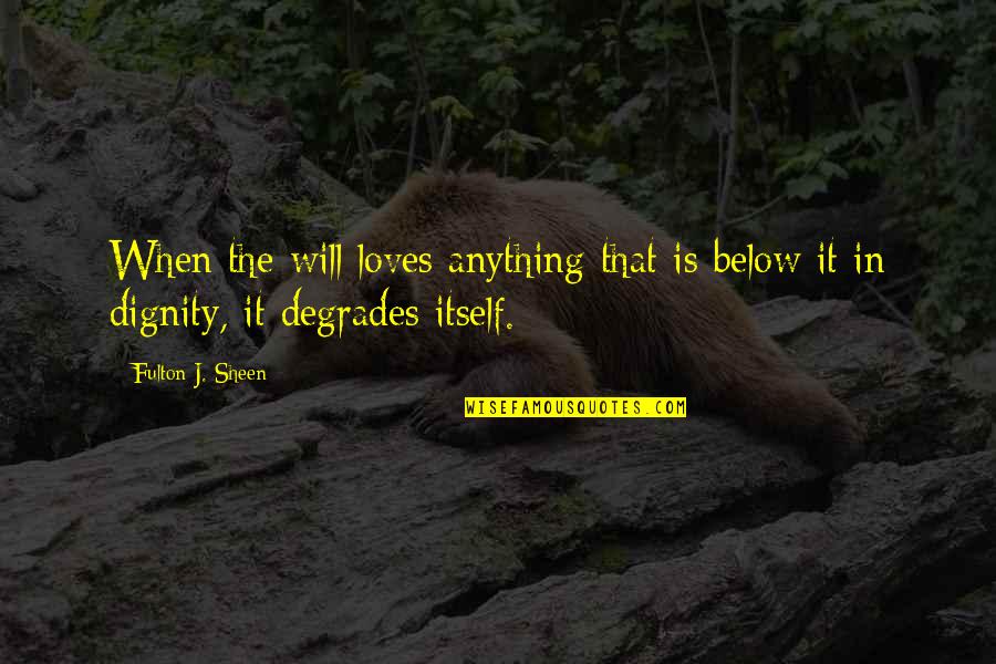 Chlorotic Anemia Quotes By Fulton J. Sheen: When the will loves anything that is below