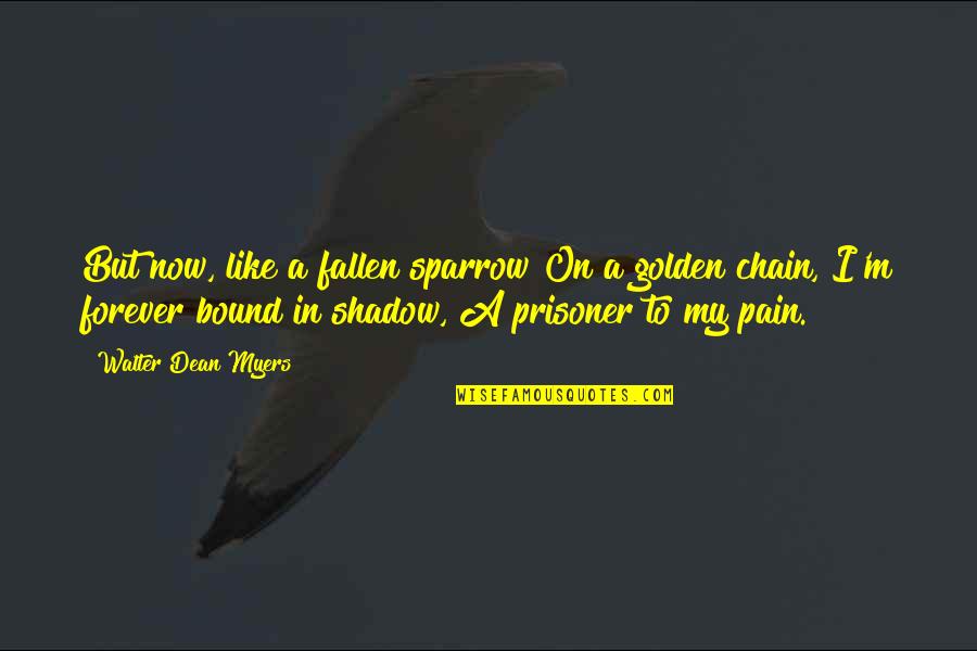 Chmel K Latina Quotes By Walter Dean Myers: But now, like a fallen sparrow On a Chmel K Latina Quotes By Walter Dean Myers: But now, like a fallen sparrow On a