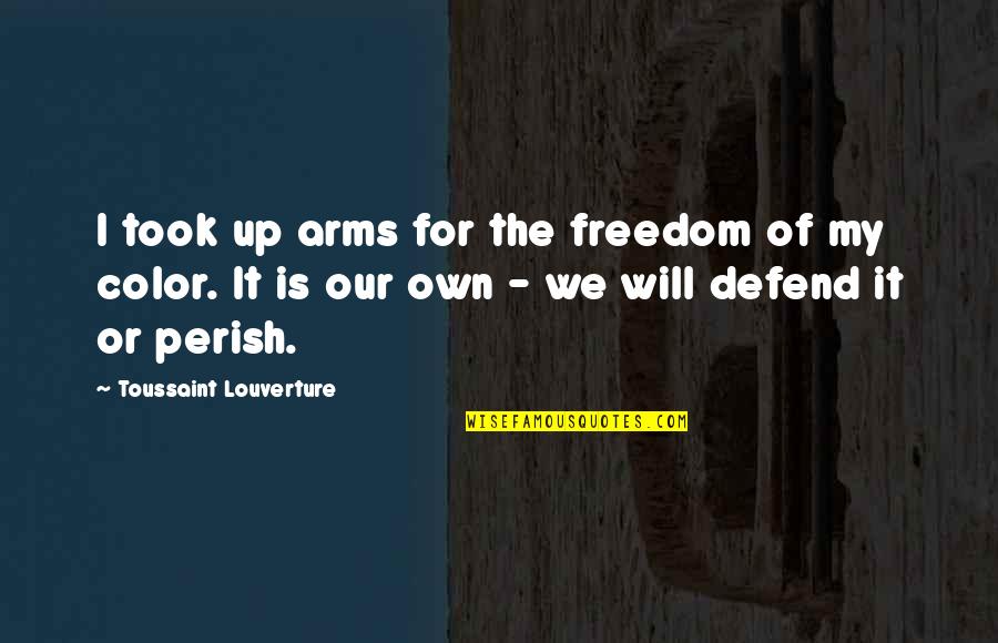 Chocholousek Quotes By Toussaint Louverture: I took up arms for the freedom of