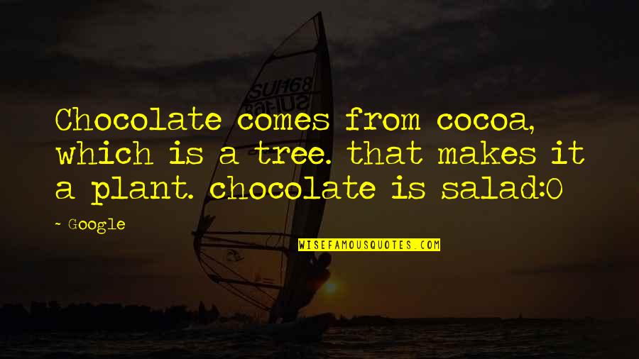 Chocolate Is Salad Quotes By Google: Chocolate comes from cocoa, which is a tree.