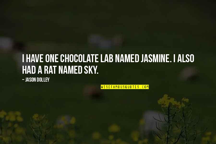 Chocolate Lab Quotes By Jason Dolley: I have one chocolate Lab named Jasmine. I