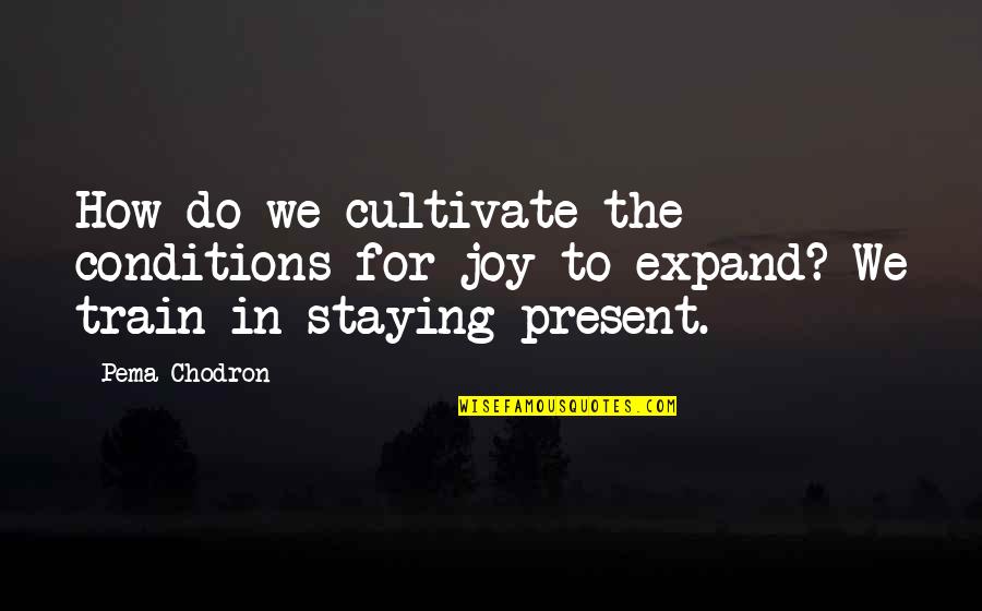 Chodron Quotes By Pema Chodron: How do we cultivate the conditions for joy