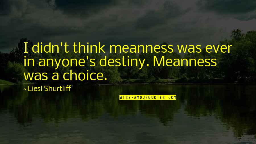 Choice And Attitude Quotes By Liesl Shurtliff: I didn't think meanness was ever in anyone's