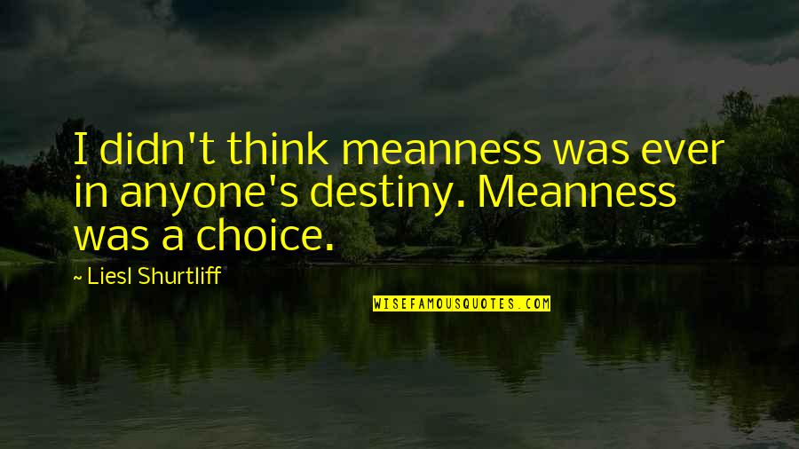 Choice And Destiny Quotes By Liesl Shurtliff: I didn't think meanness was ever in anyone's