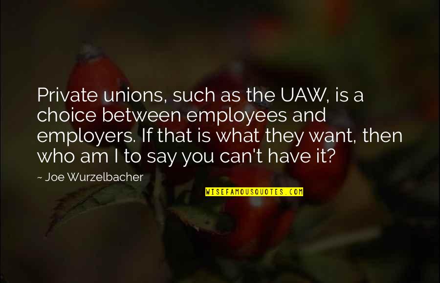 Choice And Quotes By Joe Wurzelbacher: Private unions, such as the UAW, is a