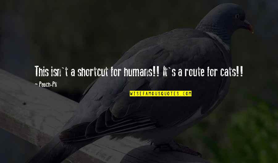 Choice The Rapper Quotes By Peach-Pit: This isn't a shortcut for humans!! It's a