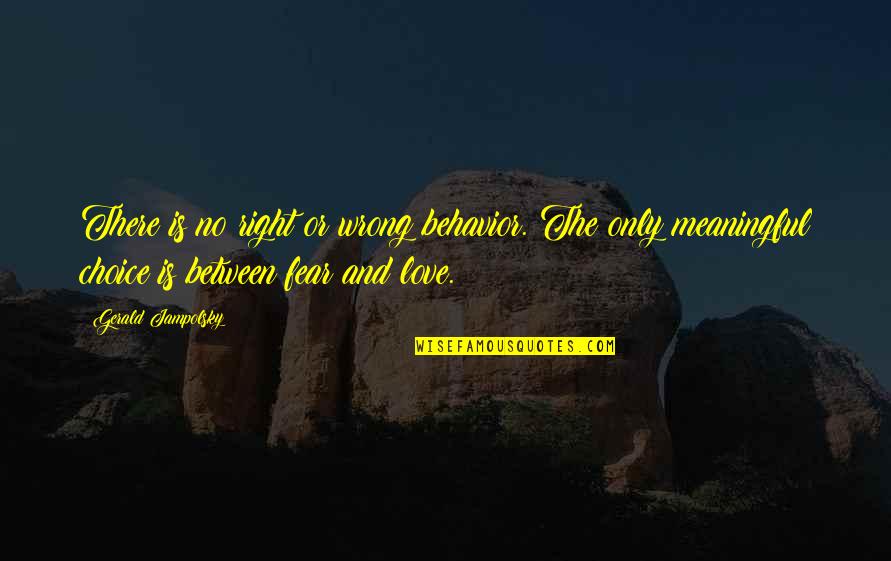 Choices And Love Quotes By Gerald Jampolsky: There is no right or wrong behavior. The