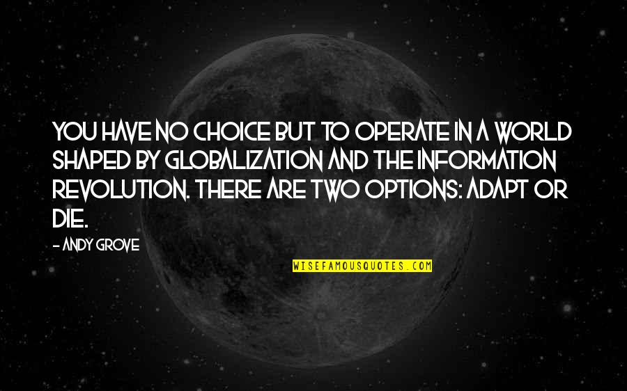 Choices And Options Quotes By Andy Grove: You have no choice but to operate in