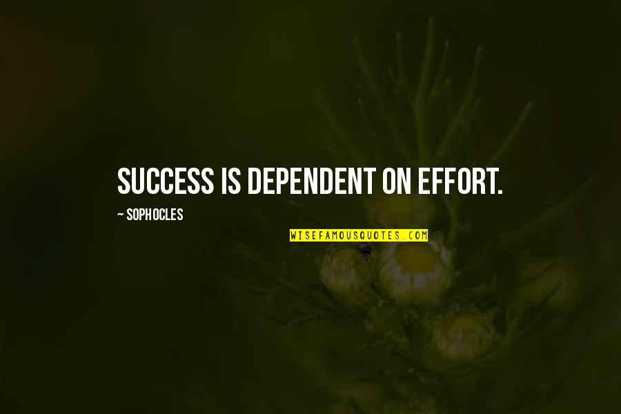 Choices Funny Quotes By Sophocles: Success is dependent on effort.