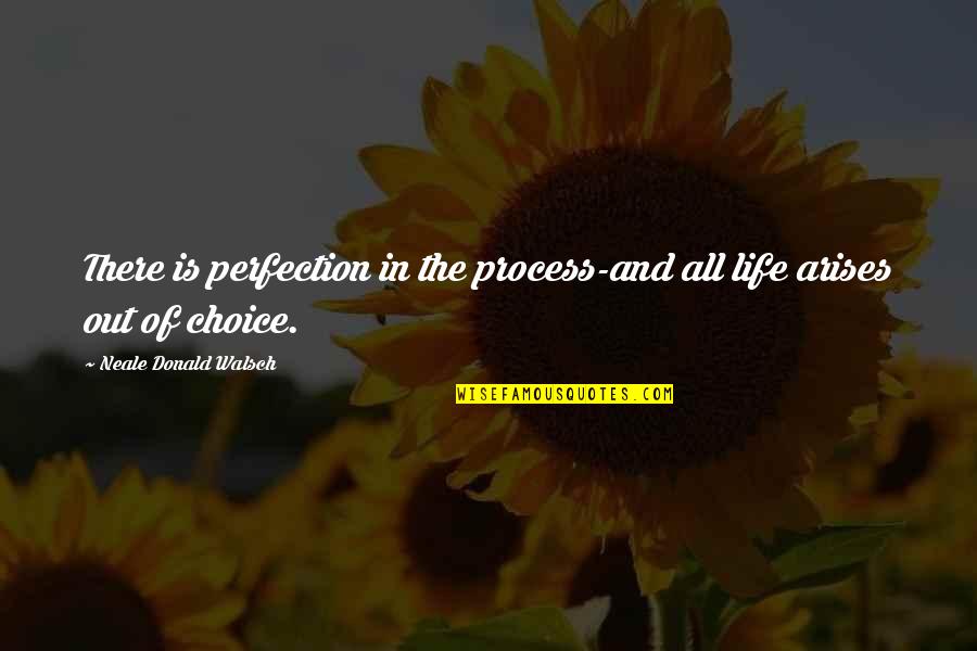 Choices Life Quotes By Neale Donald Walsch: There is perfection in the process-and all life Choices Life Quotes By Neale Donald Walsch: There is perfection in the process-and all life