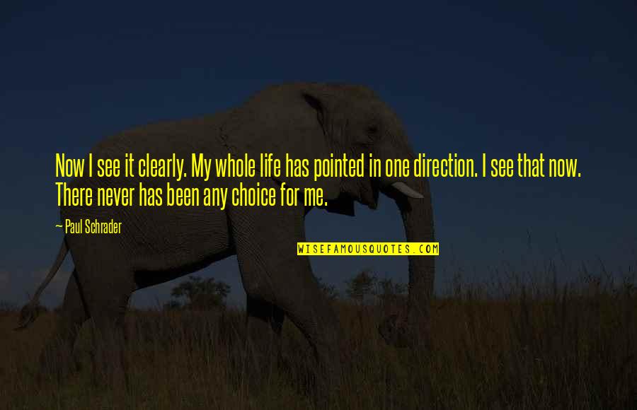 Choices Life Quotes By Paul Schrader: Now I see it clearly. My whole life