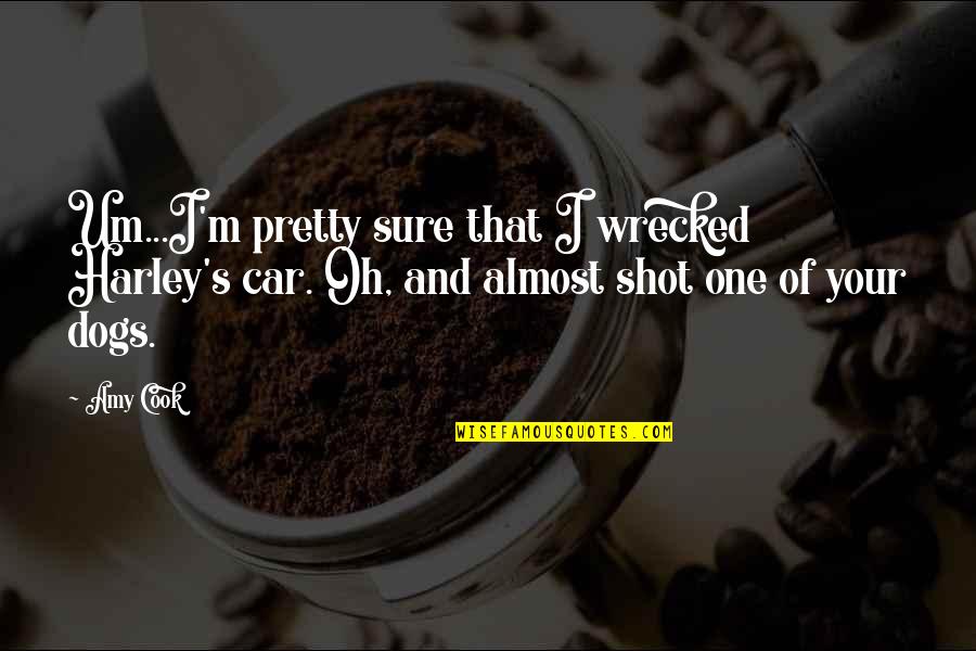 Chokramudi Quotes By Amy Cook: Um...I'm pretty sure that I wrecked Harley's car.