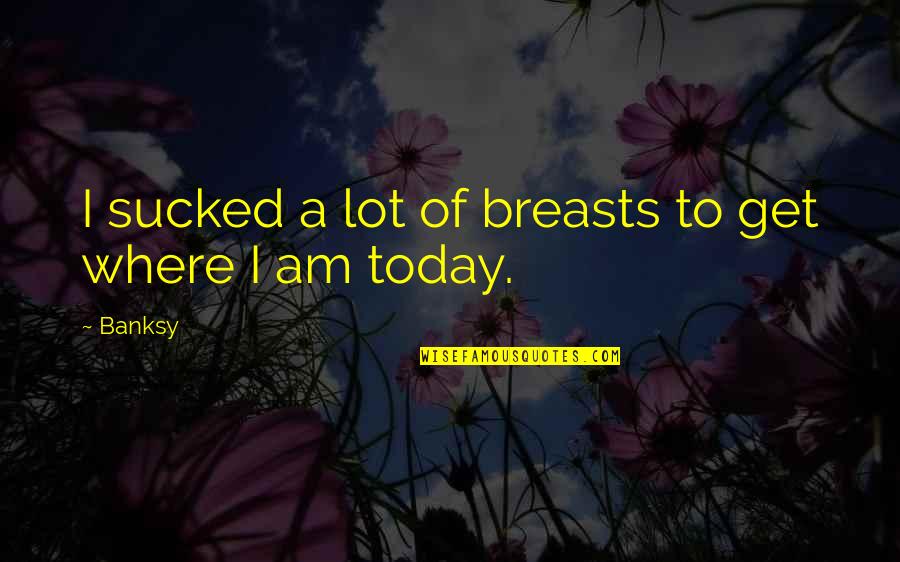 Chokri Cherif Quotes By Banksy: I sucked a lot of breasts to get