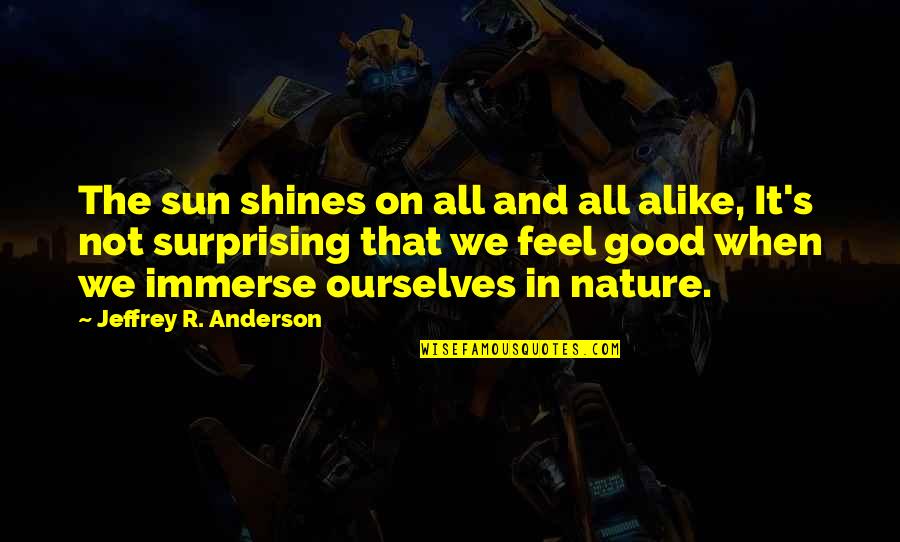 Choleeland Quotes By Jeffrey R. Anderson: The sun shines on all and all alike,