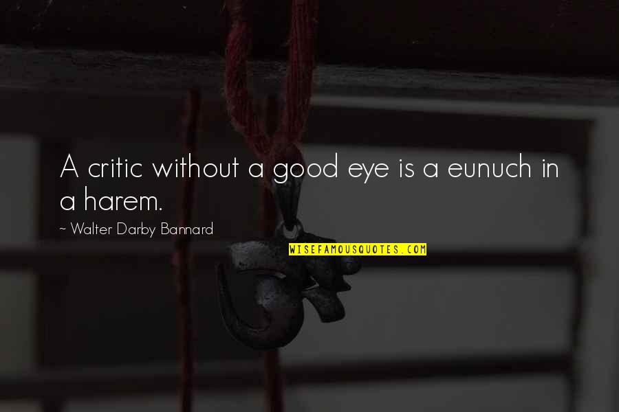 Cholera's Quotes By Walter Darby Bannard: A critic without a good eye is a