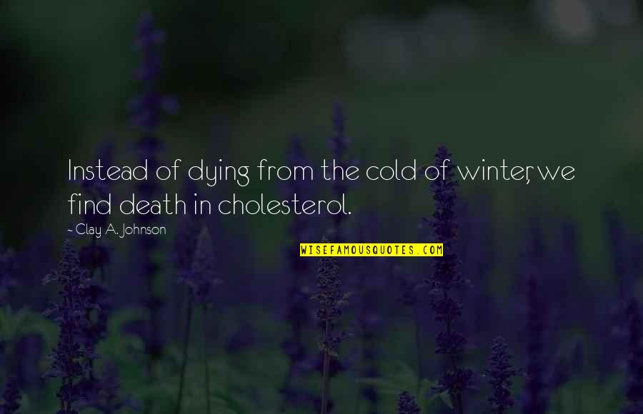 Cholesterol Quotes By Clay A. Johnson: Instead of dying from the cold of winter,