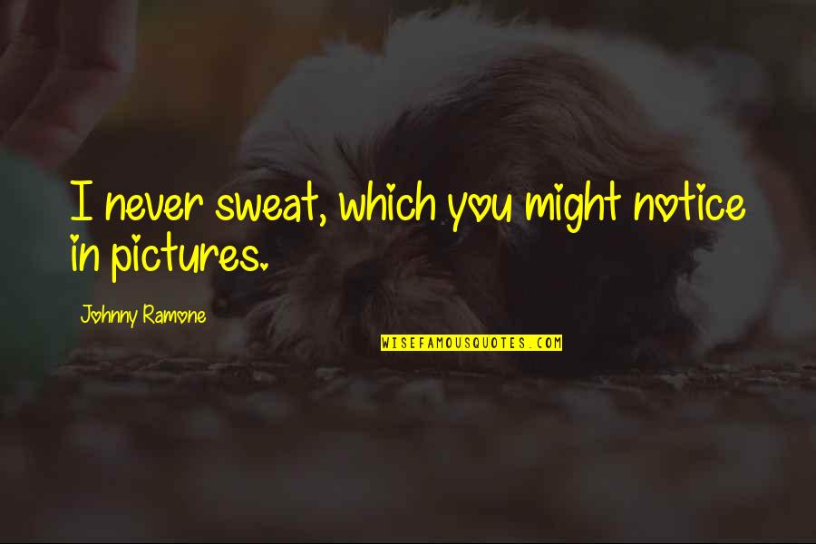 Chomko Funeral Home Quotes By Johnny Ramone: I never sweat, which you might notice in Chomko Funeral Home Quotes By Johnny Ramone: I never sweat, which you might notice in
