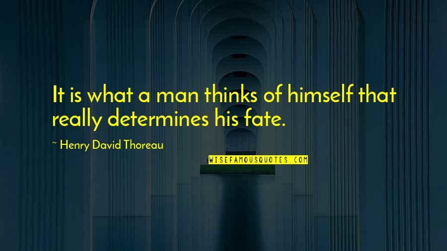 Chomsky Lad Quotes By Henry David Thoreau: It is what a man thinks of himself