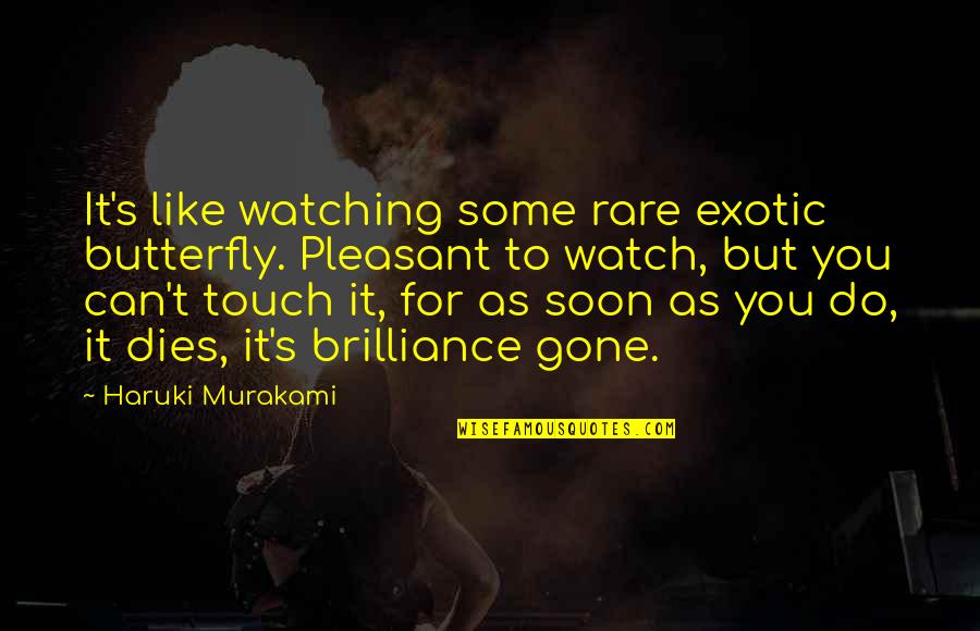 Chooda Vadhana Quotes By Haruki Murakami: It's like watching some rare exotic butterfly. Pleasant Chooda Vadhana Quotes By Haruki Murakami: It's like watching some rare exotic butterfly. Pleasant