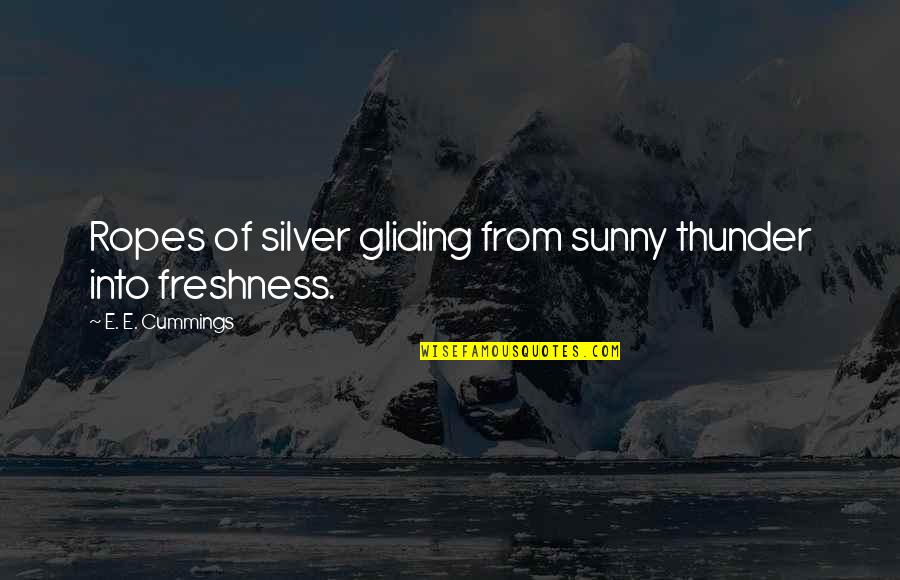 Choong Hyun Quotes By E. E. Cummings: Ropes of silver gliding from sunny thunder into Choong Hyun Quotes By E. E. Cummings: Ropes of silver gliding from sunny thunder into