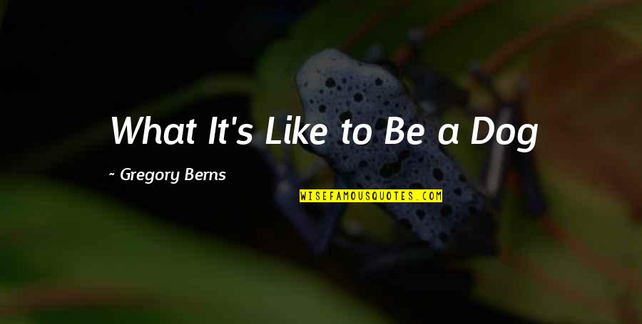 Choose Her Over Me Quotes By Gregory Berns: What It's Like to Be a Dog Choose Her Over Me Quotes By Gregory Berns: What It's Like to Be a Dog