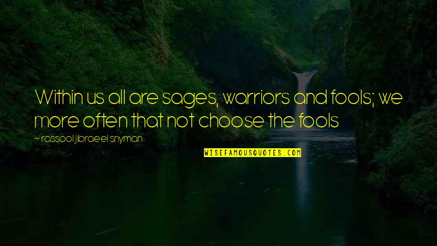 Choose Quotes Quotes By Rassool Jibraeel Snyman: Within us all are sages, warriors and fools;