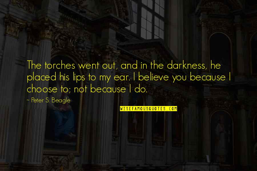 Choose To Believe Quotes By Peter S. Beagle: The torches went out, and in the darkness,