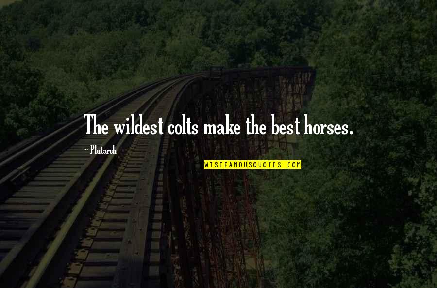 Choose To Forget Quotes By Plutarch: The wildest colts make the best horses.