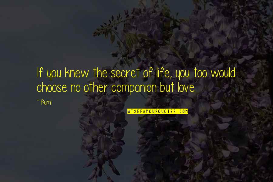 Choose You Love Quotes By Rumi: If you knew the secret of life, you
