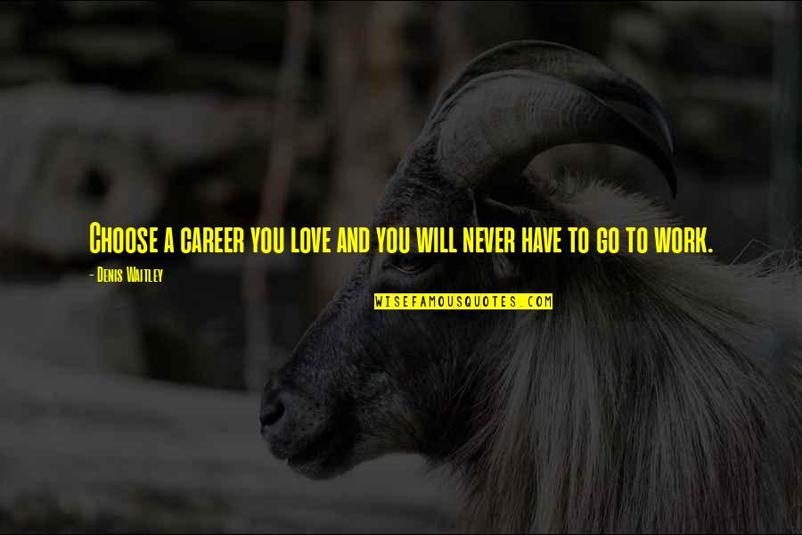 Choose Your Career Quotes By Denis Waitley: Choose a career you love and you will