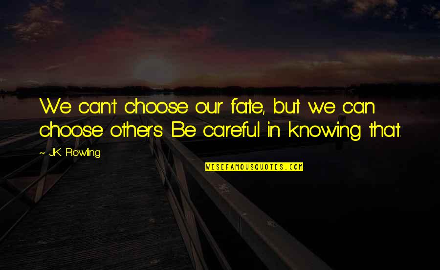 Choose Your Fate Quotes By J.K. Rowling: We can't choose our fate, but we can