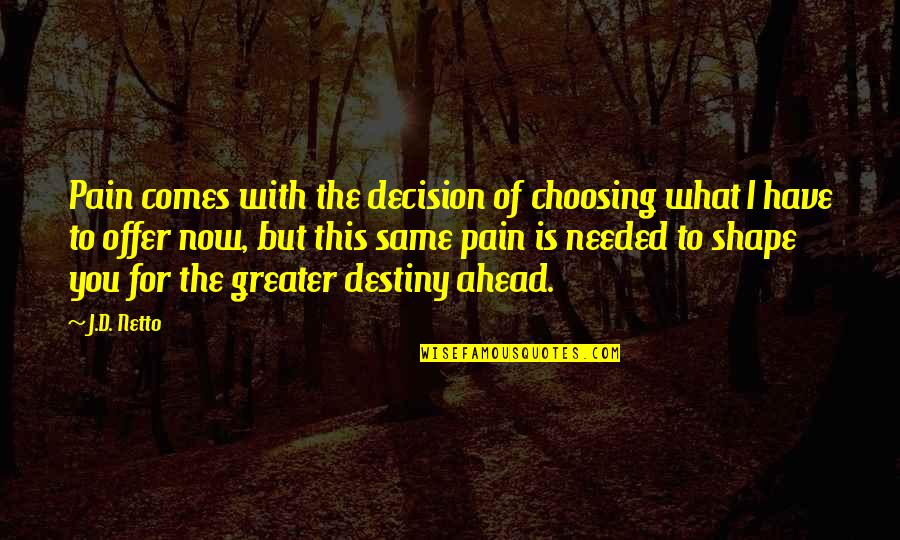 Choosing Your Own Destiny Quotes By J.D. Netto: Pain comes with the decision of choosing what