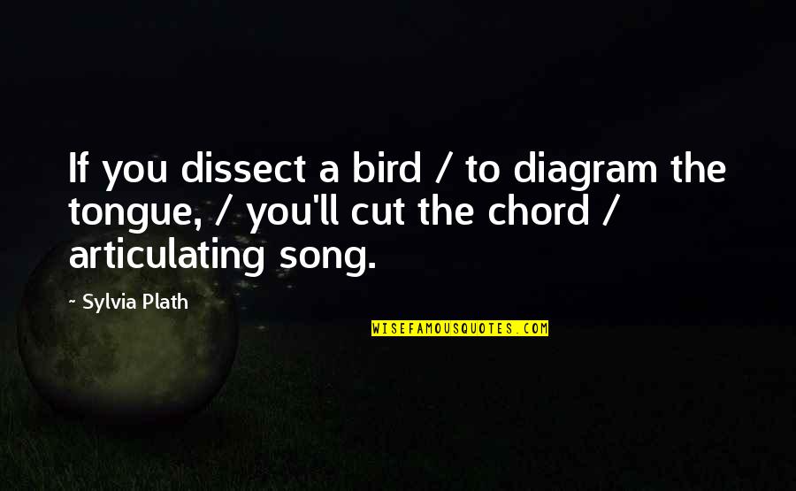 Chord Quotes By Sylvia Plath: If you dissect a bird / to diagram
