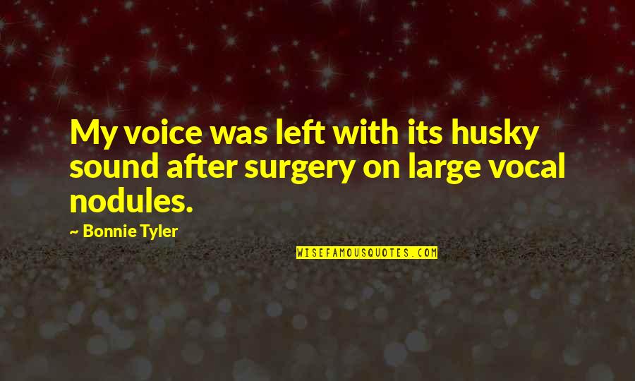 Chosen Ignorance Quotes By Bonnie Tyler: My voice was left with its husky sound
