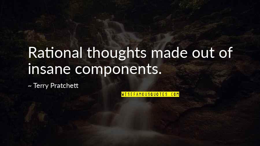 Chou Iori Yagami Quotes By Terry Pratchett: Rational thoughts made out of insane components.