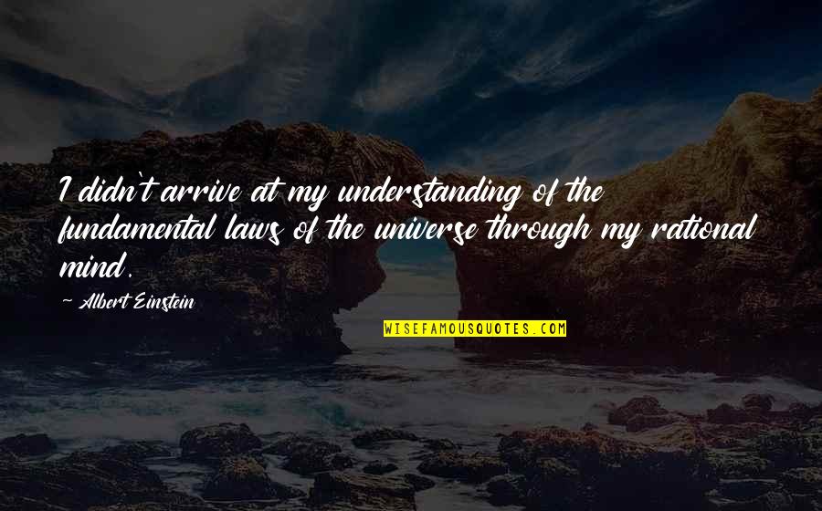 Chouquette St Quotes By Albert Einstein: I didn't arrive at my understanding of the