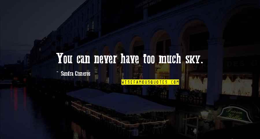 Chouraqui Pierre Quotes By Sandra Cisneros: You can never have too much sky. Chouraqui Pierre Quotes By Sandra Cisneros: You can never have too much sky.